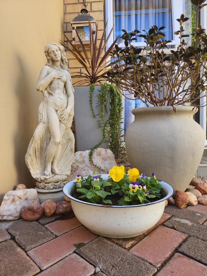 Апартаменты Schnehage Self Catering Блумфонтейн Экстерьер фото